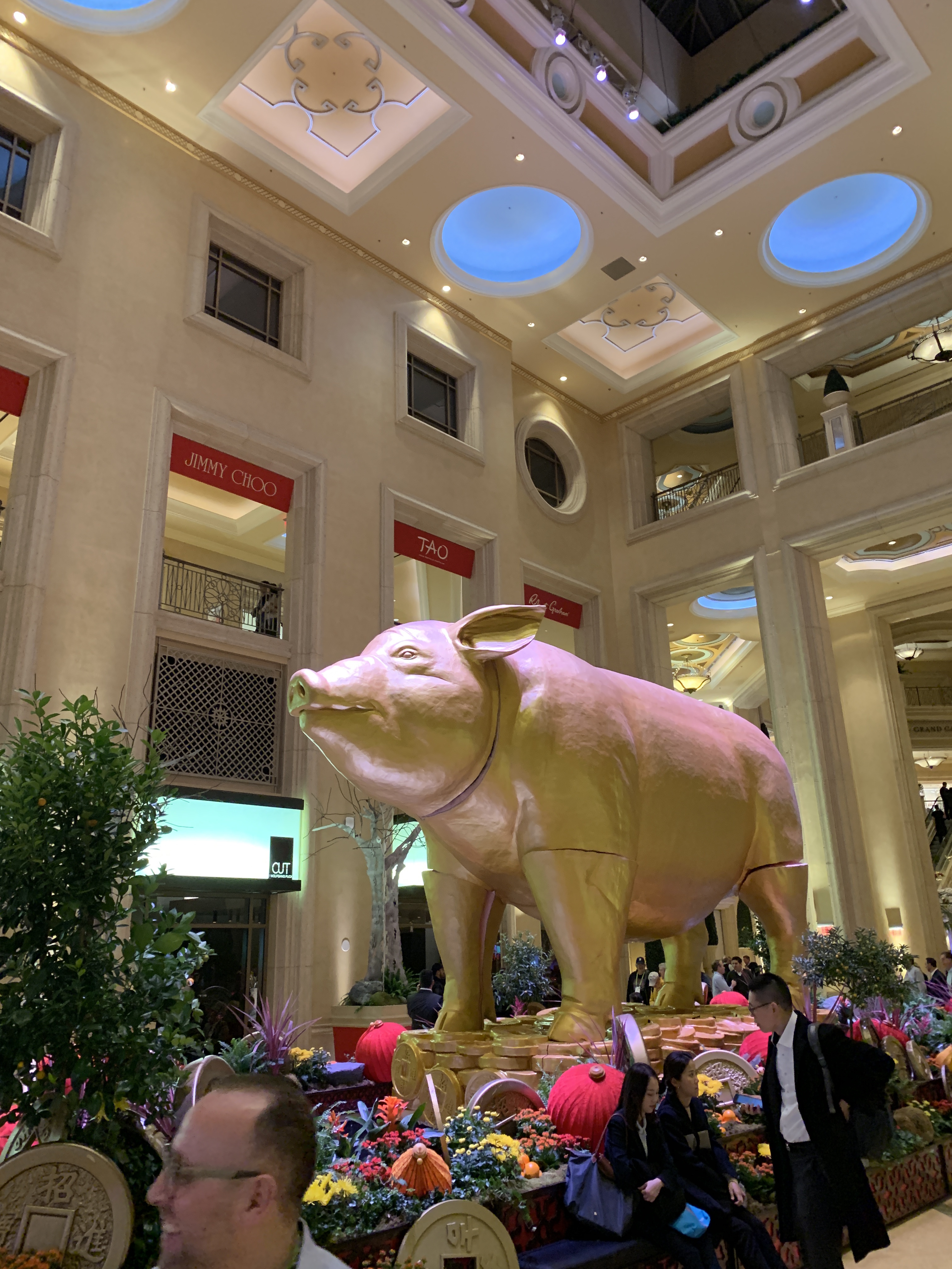 New Report – D2D#24 – CES 2019