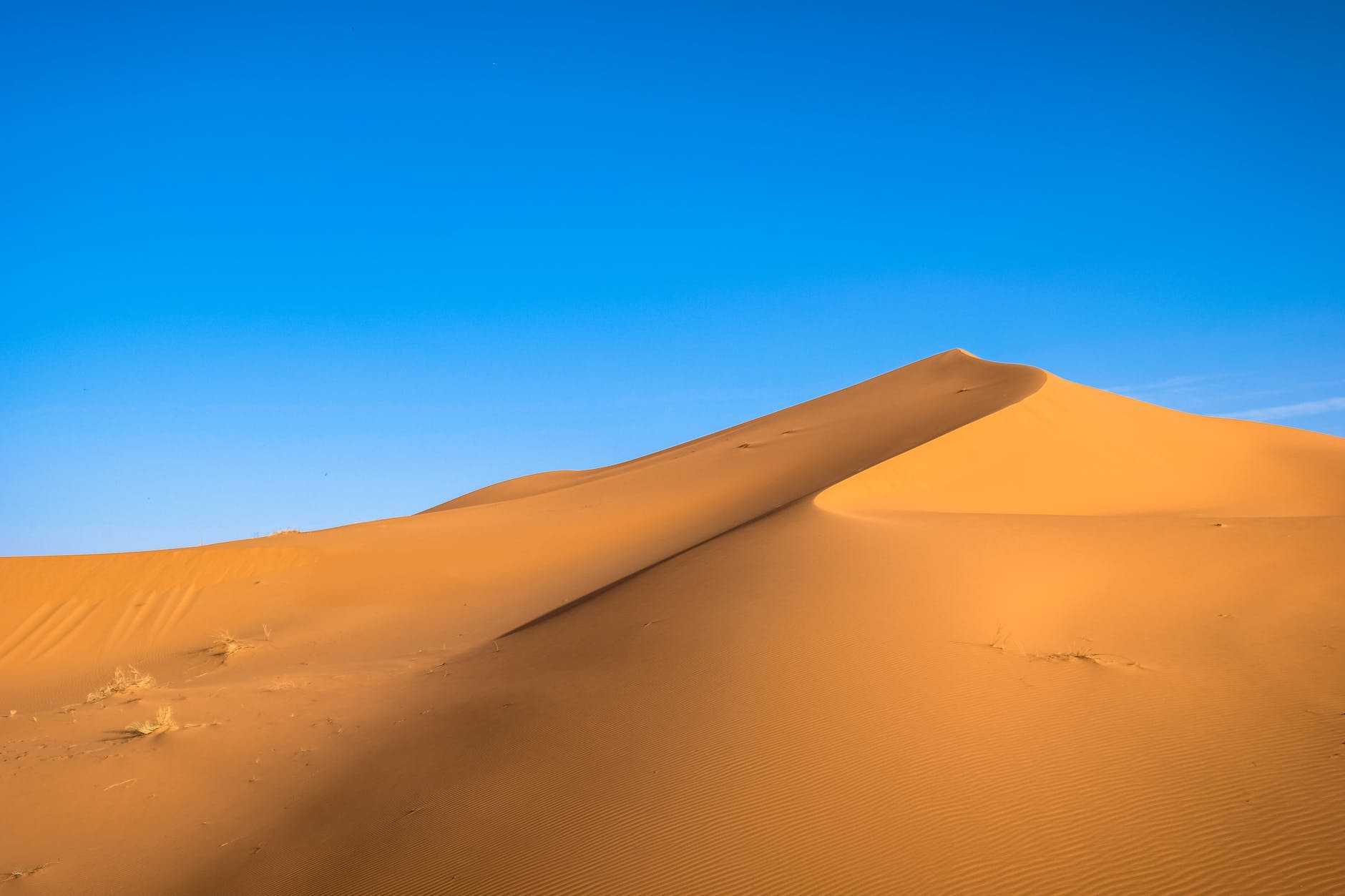 photo of brown sand